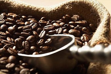 抢先体验游戏《咒笼：诅咒领域》现已发布正式版本